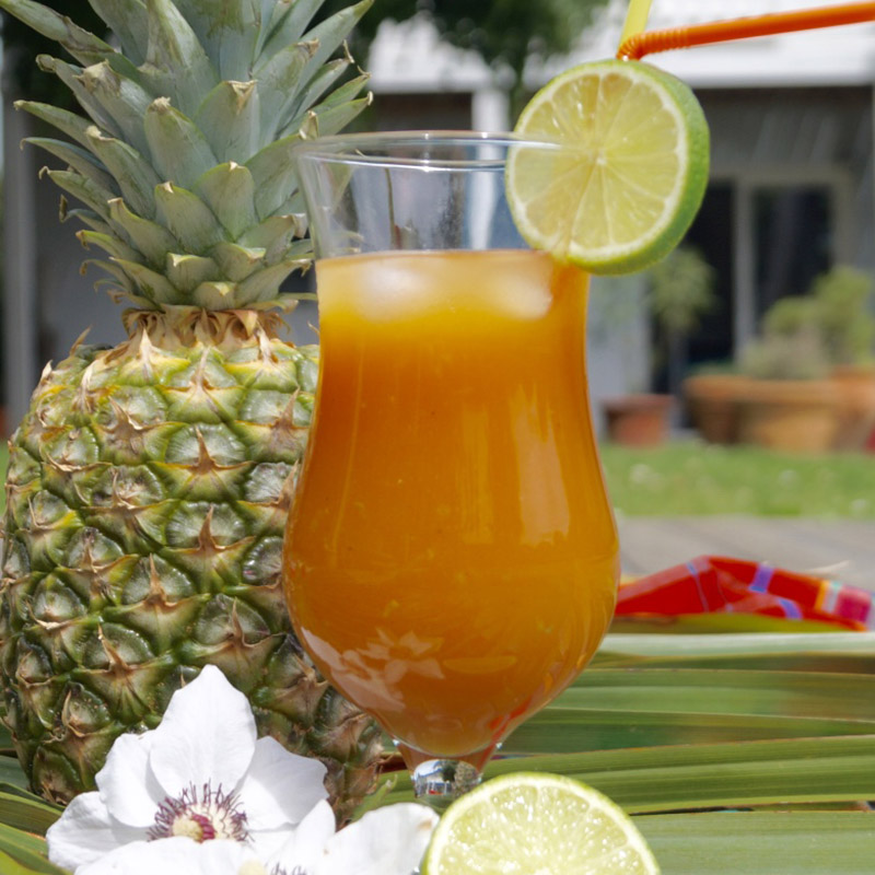 Comptoir du Rhum Eysines - Décollage pour la Martinique et les rhums Hardy 06